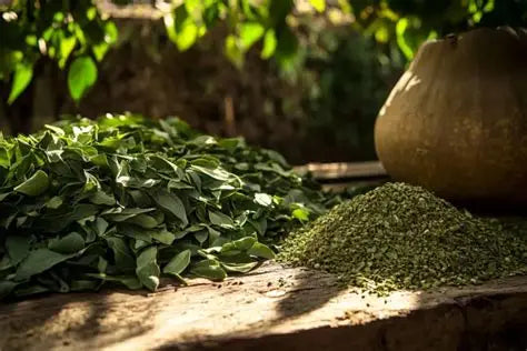 Baldo Yerba Mate - 500g